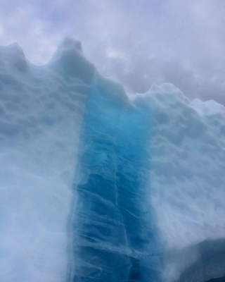 #icephotography @sara_bran_photography