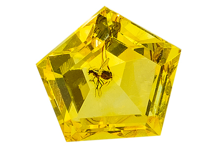 #ambre #amber #insect #0.75ct 