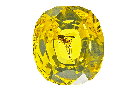 #ambre #amber #insect #0.96ct
