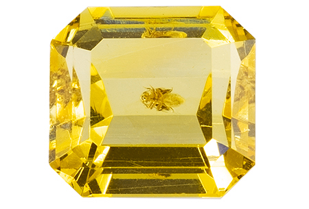 #ambre #amber #insect #1.38ct
