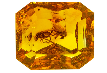 #ambre #amber #insect #1.50ct 