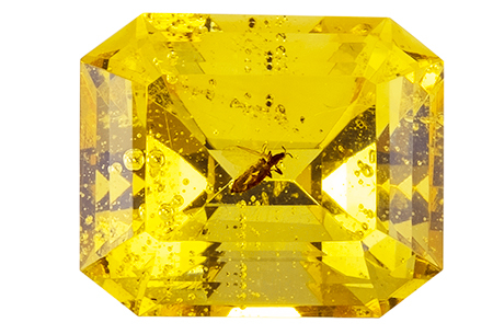 #ambre #amber #insect #2.48ct