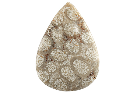 Corail fossile 17.68ct