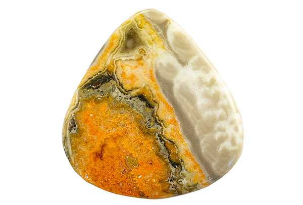 Corail fossile 128ct