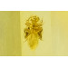 #ambre #amber #insect #1.38ct