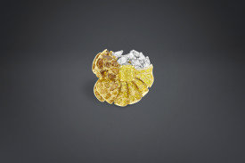 DIOR-Collection Archi Envol-yellow diamonds-fancy diamonds-gold-platinium