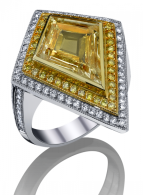 PROCOP Robert-Queend of diamonds jewels-yellow diamonds-white diamonds