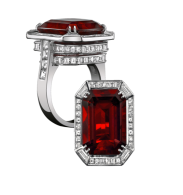 ROBERT PROCOP-Important Gem collection-11ct ruby-diamonds