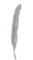 VAN ClEEF & ARPELS-platinum-diamonds