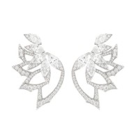WEBSTER STEPHEN-Collection Magnipheasant  Plumage earstuds-diamonds