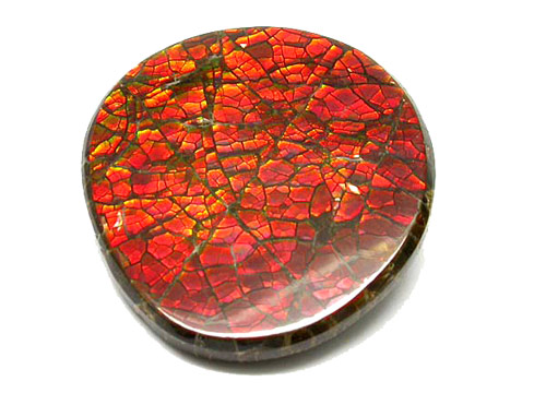Ammolite