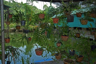 Vietnam 2009