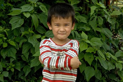Vietnam Luc Yen