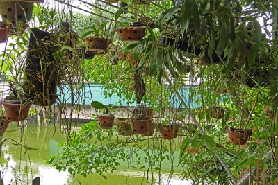 Vietnam - Hanoi