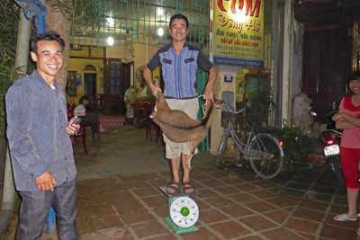 Luc Yen - Vietnam