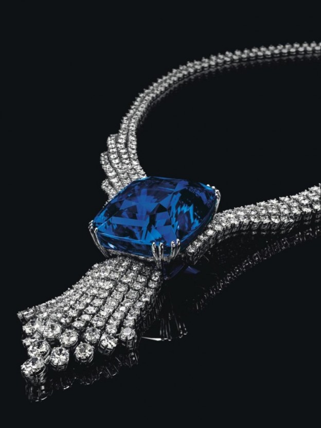 blue-belle-of-asia