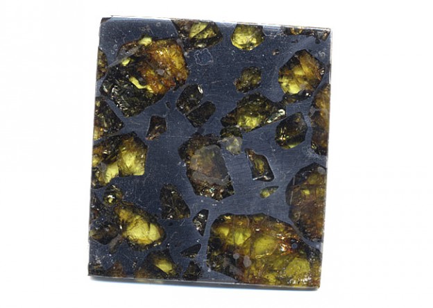 Pallasite Esquel