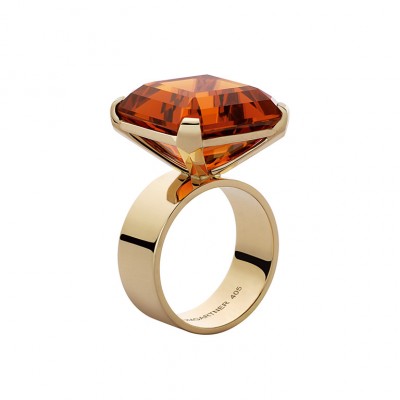 BAUMGARTNER Daniela-evidence-citrine