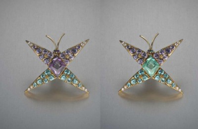 BUZZ & BENARDINE-collection papillons (2)