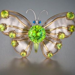 BUZZ & BENARDINE-collection papillons