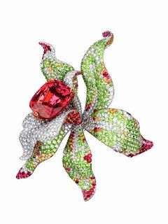 Orchidée de Cartier...