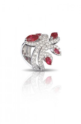 SCHROEDER-diamants-rubis